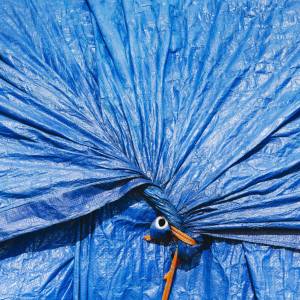 A blue tarpaulin, gathered and tied with rope, Fisherman's Terminal, Seattle